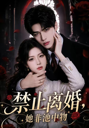 禁止离婚，她非池中物（144集）短剧终篇全集限免看