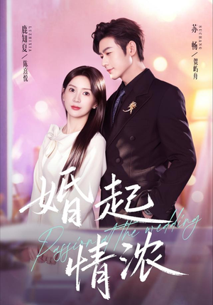 婚起情浓（99集）短剧大结局超前点映