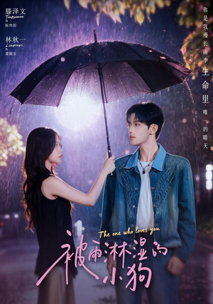 被雨淋湿的小狗（80集）短剧热映全集免费刷